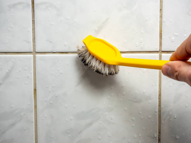Best Mold Cleaning Services  in Glendora, NJ